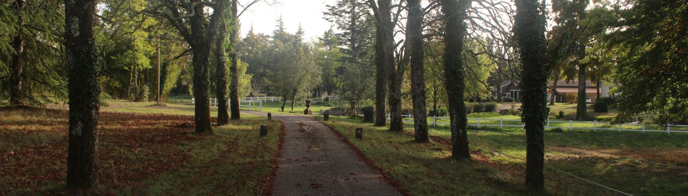 domaine-marchegay-bordeaux-merignac-yoga